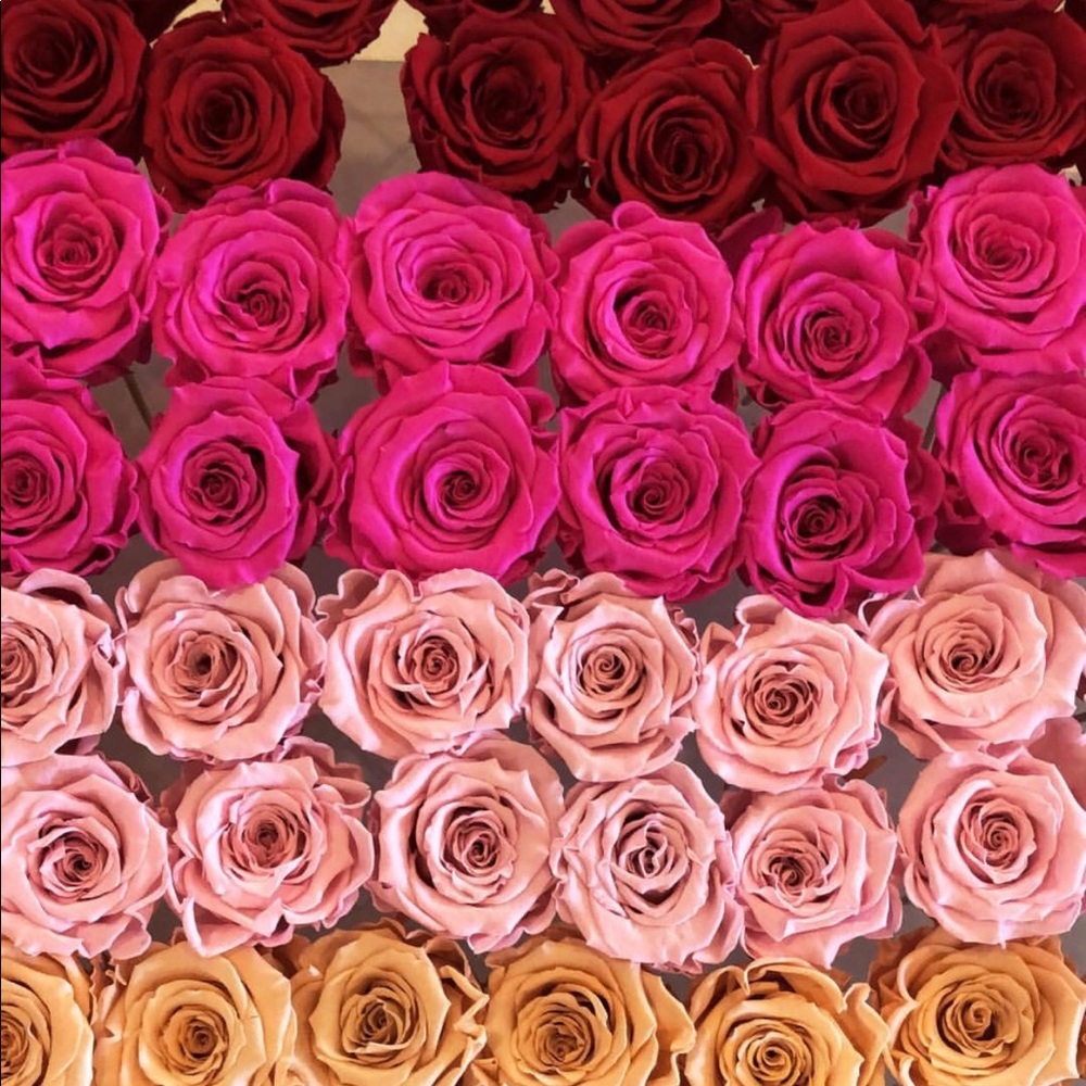 Meet your Posher, Michelle